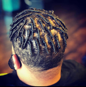 Starter Locs