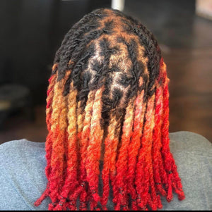 Two Strand Twist Upper Back Length locs