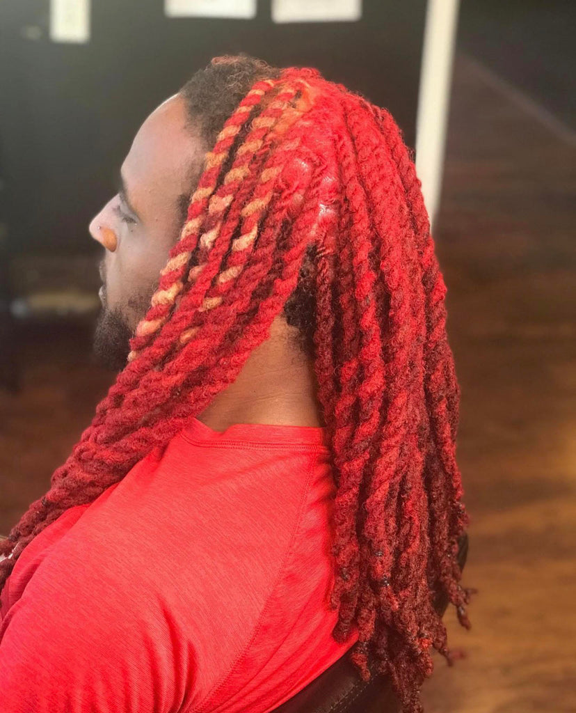 Two Stand twist Mid back length locs